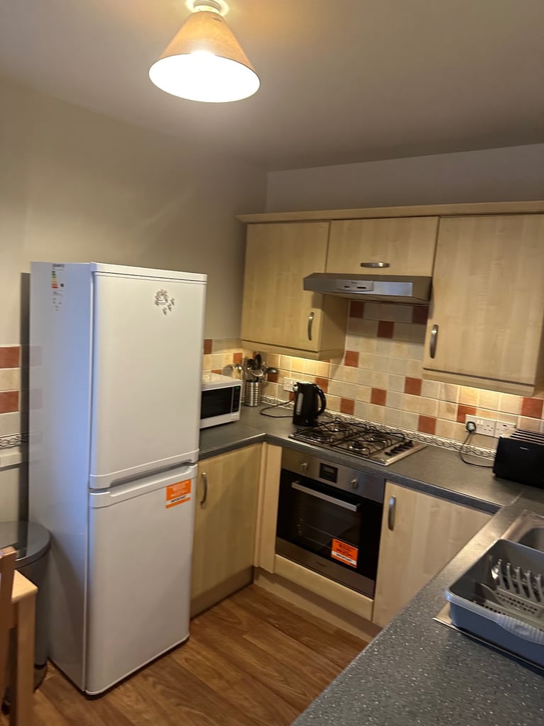 Excellent Location, Big Room Professional flatmates 