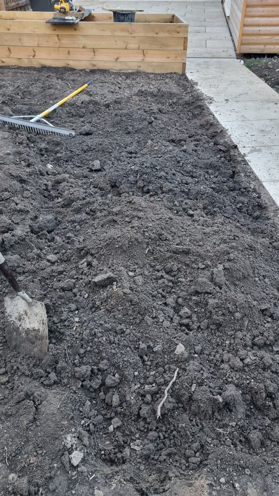 Free soil