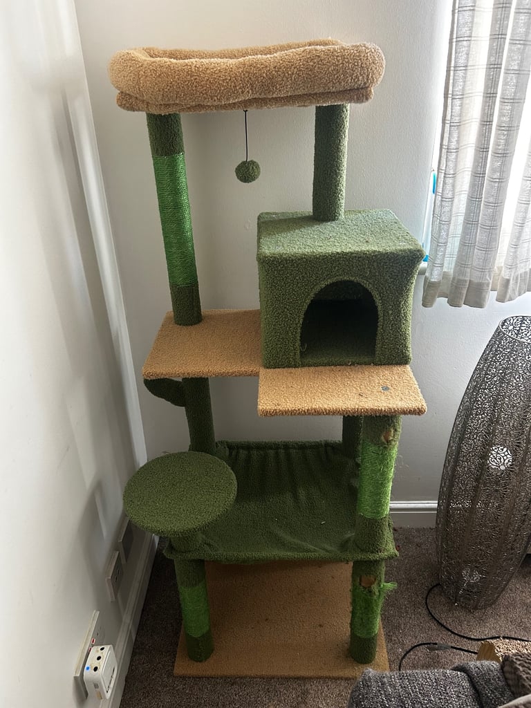Cactus cat tower hardly used