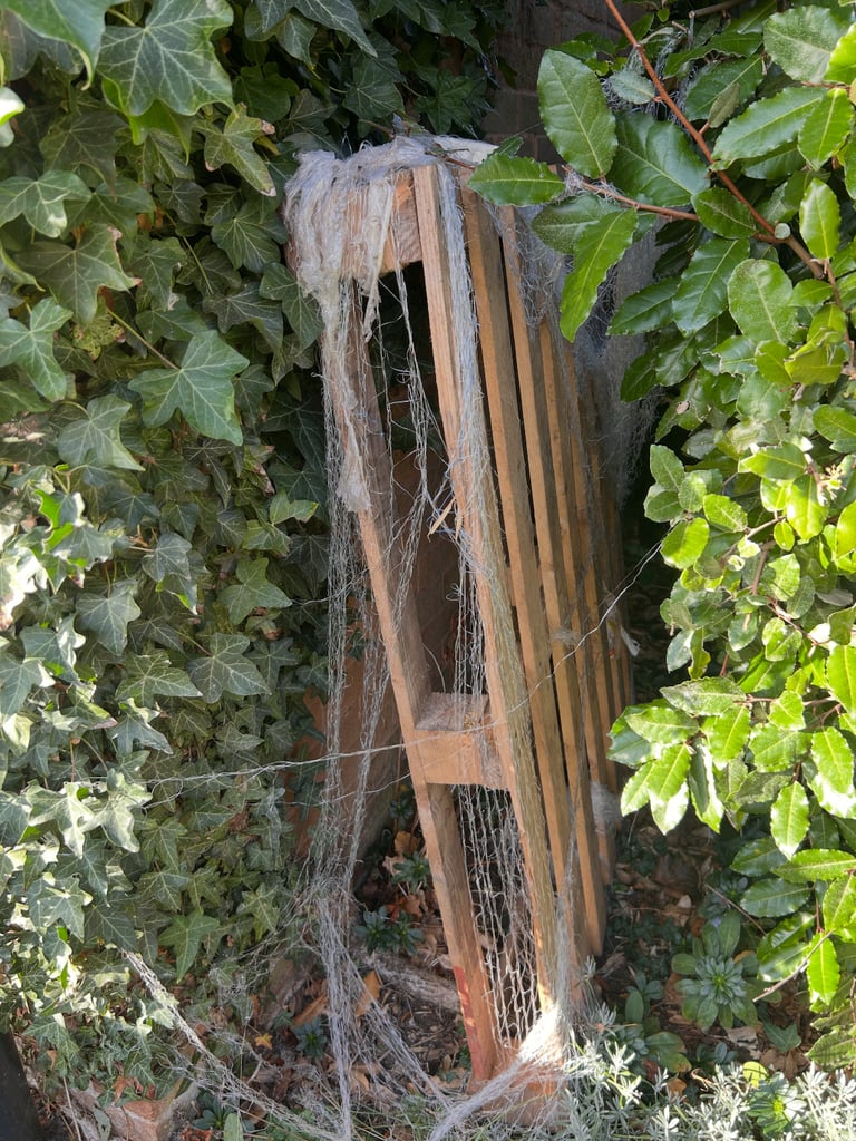 FREE - 3 wooden pallets