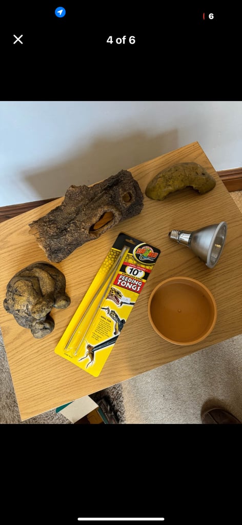 Reptile 2ft vivarium (24 x 18 inch)