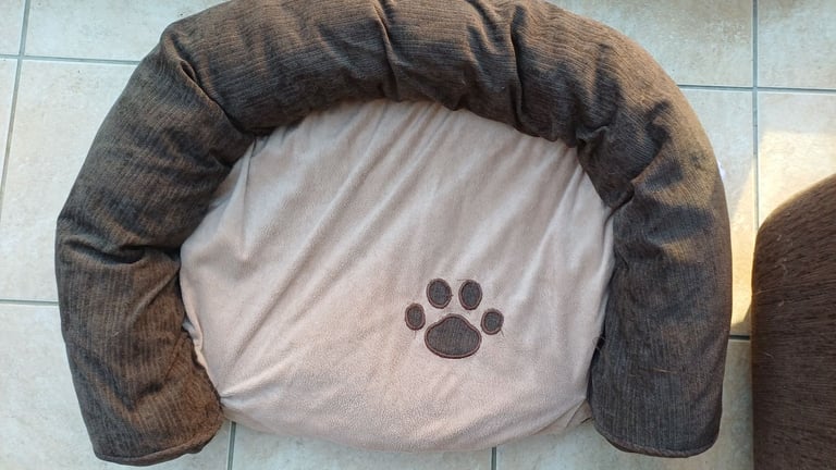 Cat beds, caves, blankets, grooming, scratch posts,litter tray