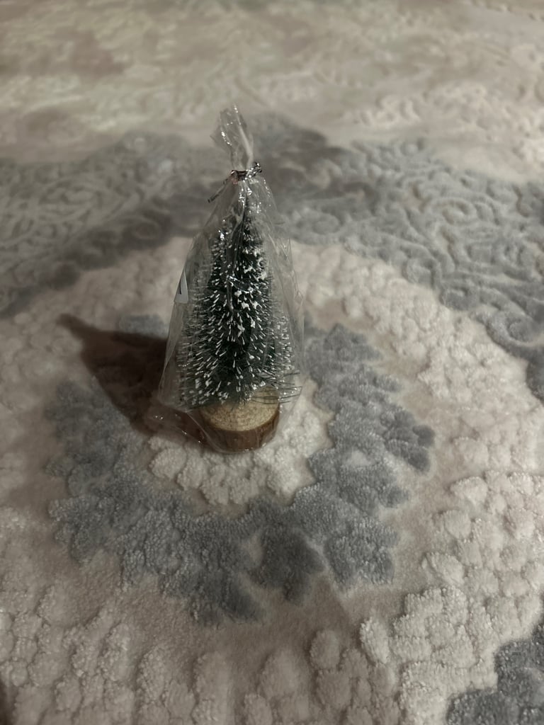 Little Christmas tree 