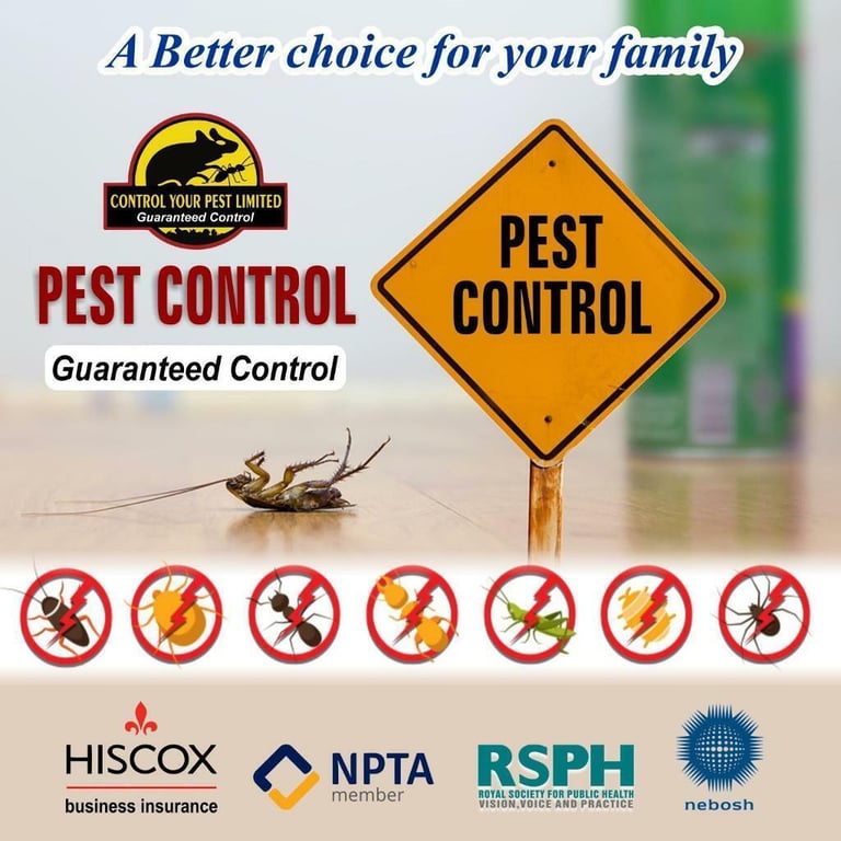 image for Pest control bedbugs mice rat cockroaches flies fleas mouse removal exterminator 