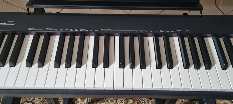 Casio CDP S100 Digital Piano. £255 on Amazon