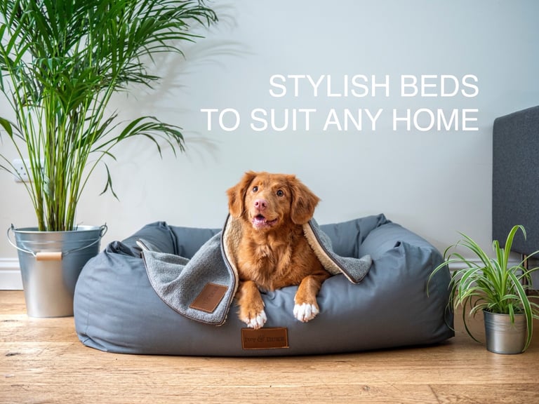 Mark Mitchell Pets - Now Live! | Dog Beds | Dog Coats | Cat Scratchers & More