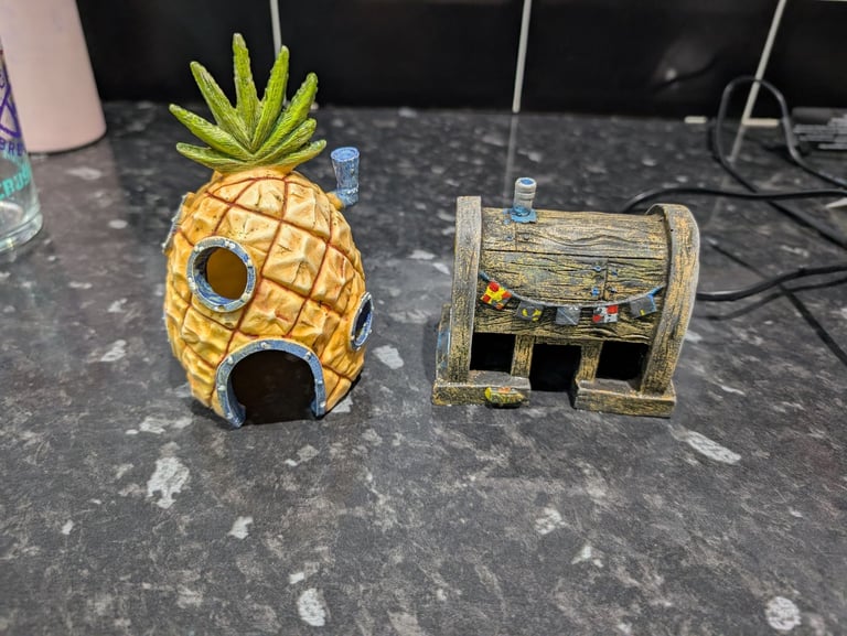 Fish tank with pump and ornaments 
