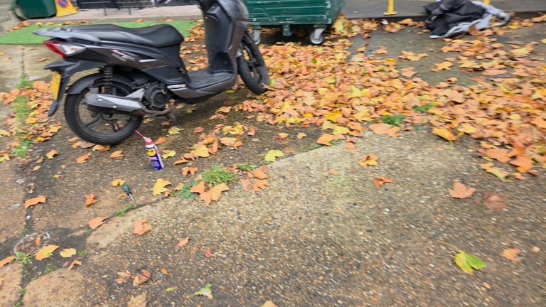 Piaggio, FLY, 2010, 124 (cc), great runner, 1 year mot.