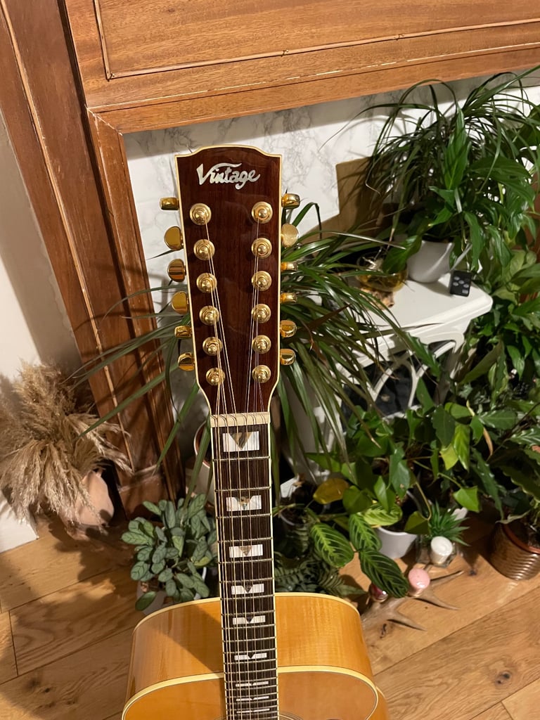 Vintage 12 string V1700-N12