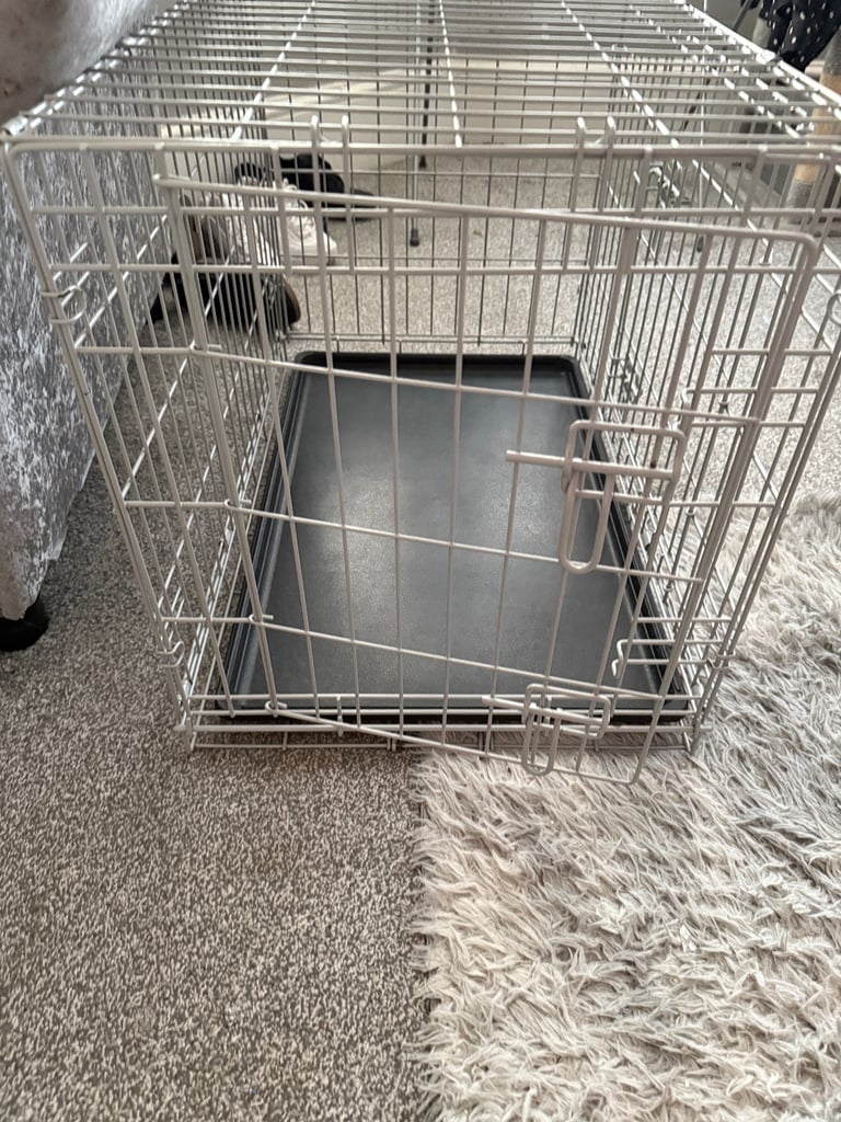 Pet crate 
