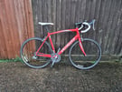 Specialized allez elite men&#039;s road bike 