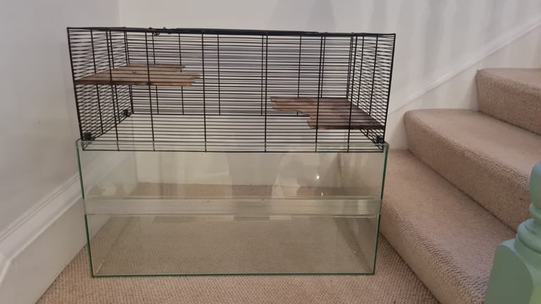 image for Gerbil cage / tank / gerbilarium