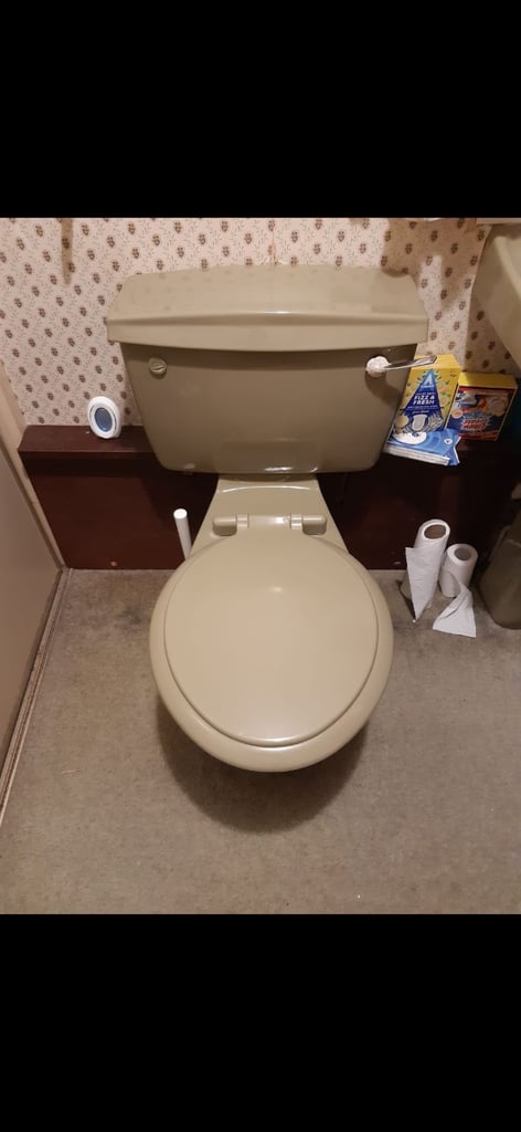 image for Armitage Shanks avacado loo and sink