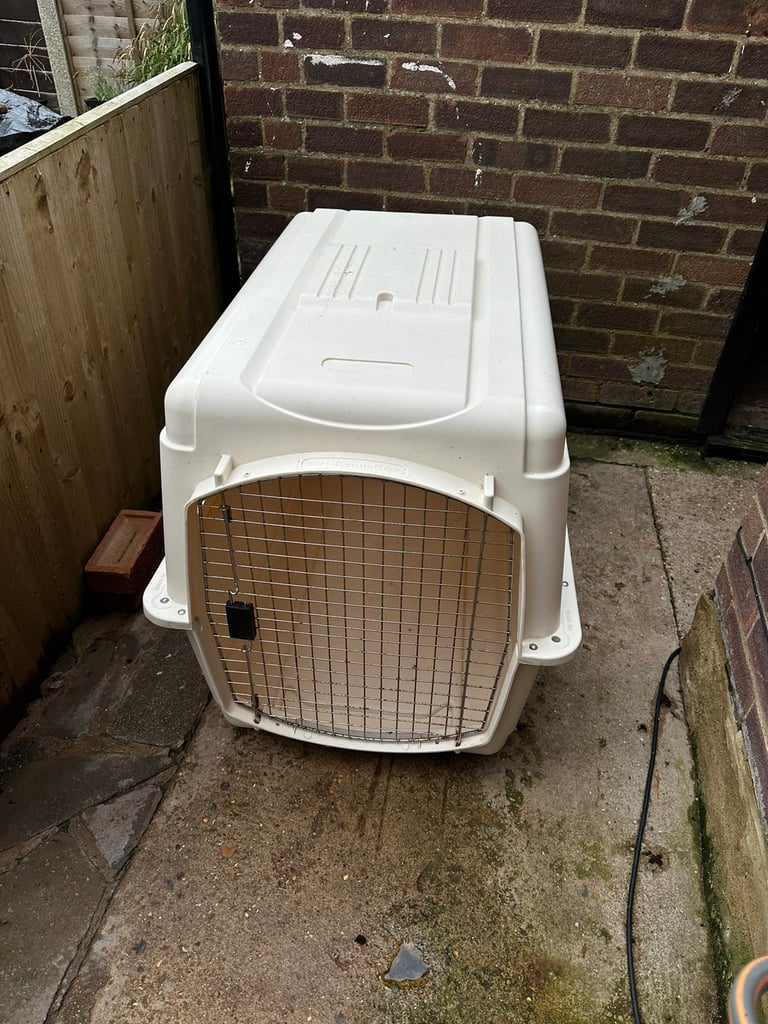 Pets in Essex Gumtree