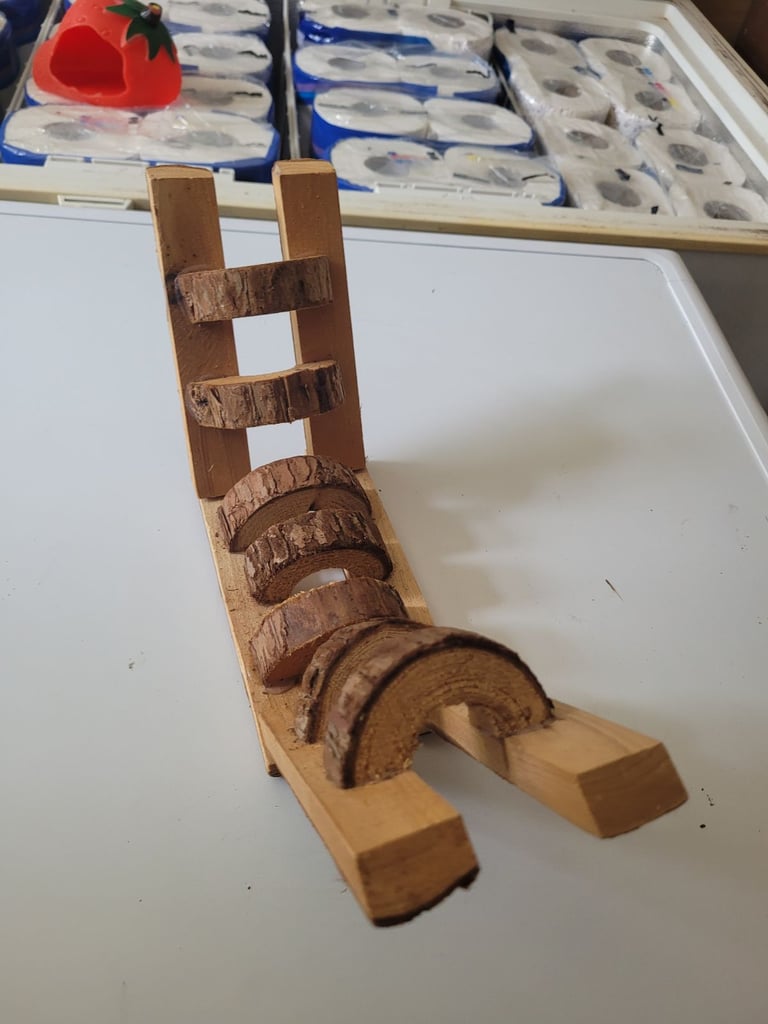 Hamster cage accessories 