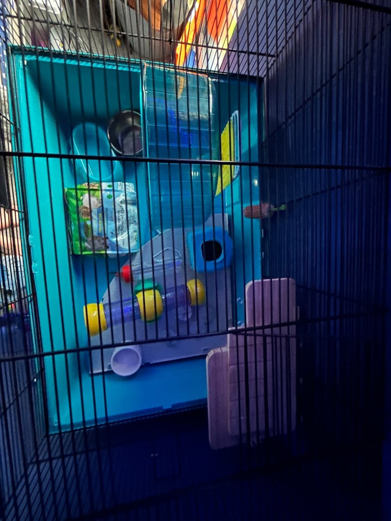 Hamster cage extra large
