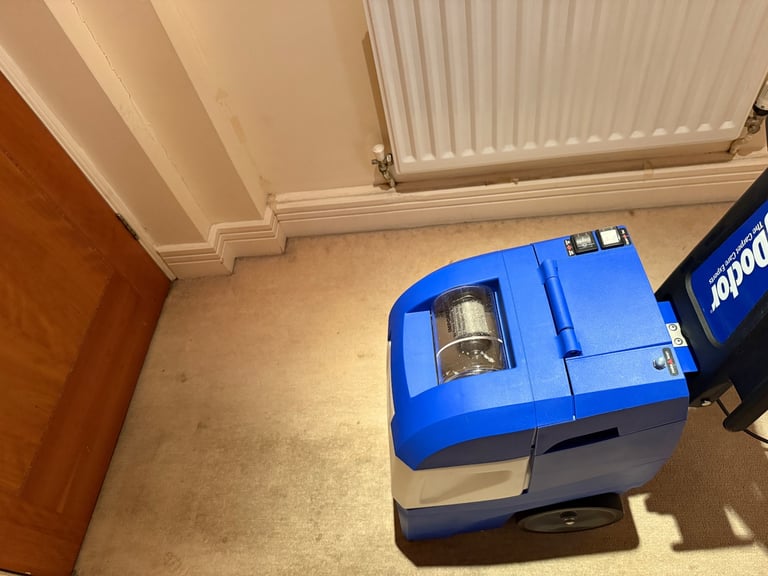 End of tenancy and carpet cleaning 