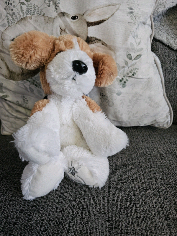 Shining star plush teddies with tags £8 each
