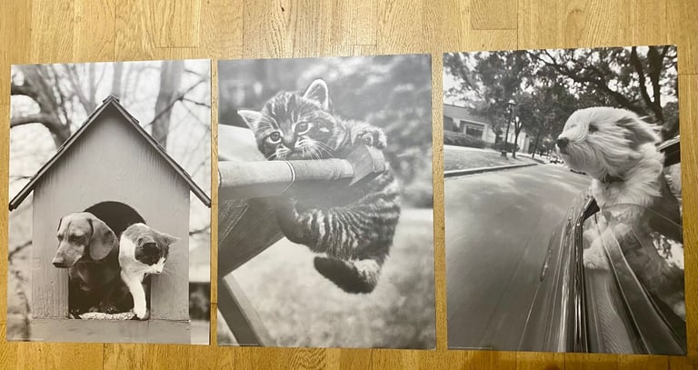 image for QUALITY POSTERS and CANVASES - from £5 each - CASH ON COLLECTION ONLY