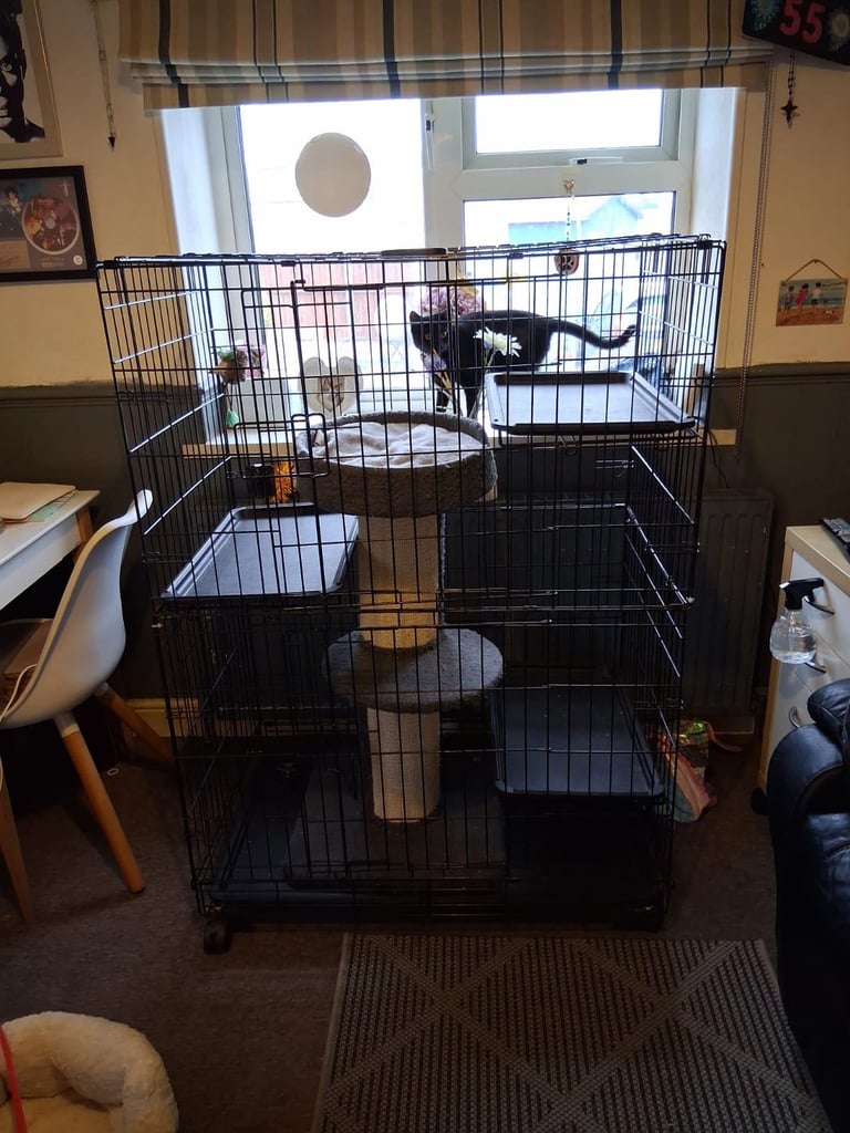 Catio cage