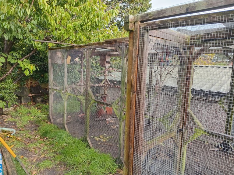 18 x 6 aviary with 6 x 3 porch