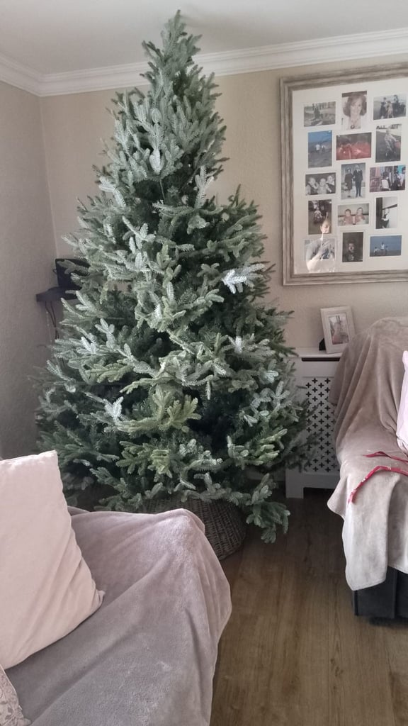 image for Balsam hill 7 ft christmas tree