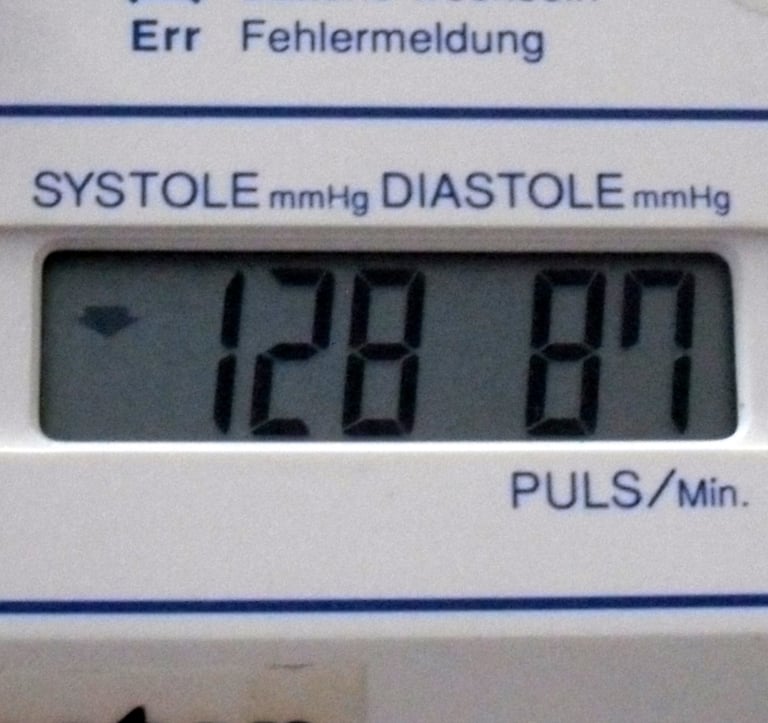 Digital Electronic Blood Pressure Monitor DS-111