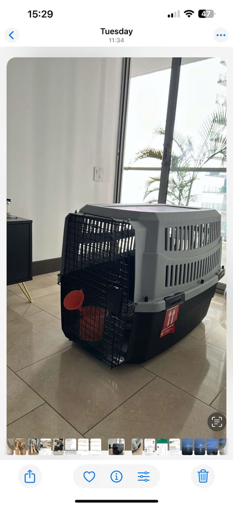 Dog crate IATA approved