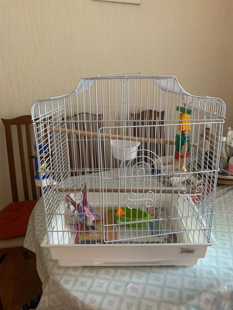 Budgie Cage and accessories