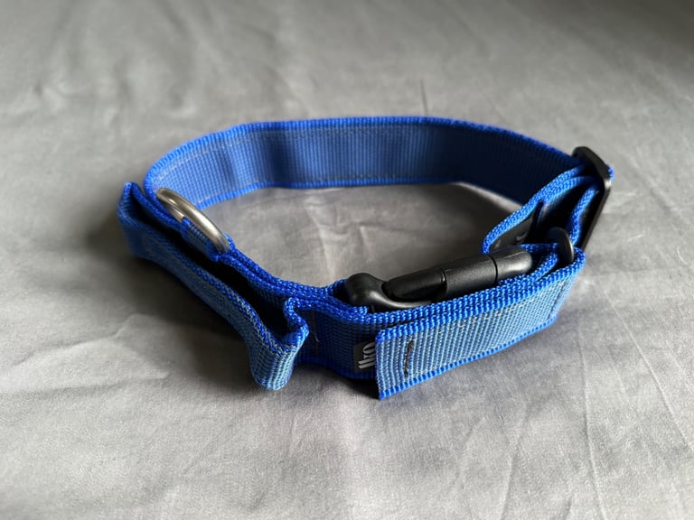Julius-K9 dog collar