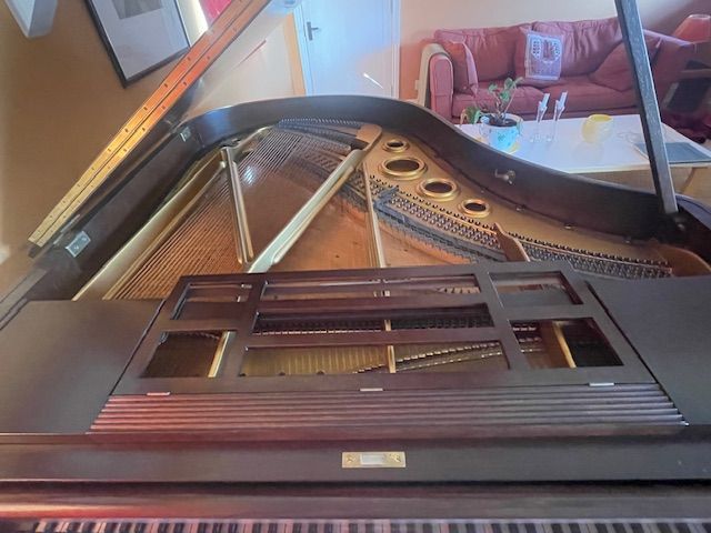 Bluthner baby grand piano (172cm, 5´8´´) from 1910. Immaculate condition, beautiful tone. 