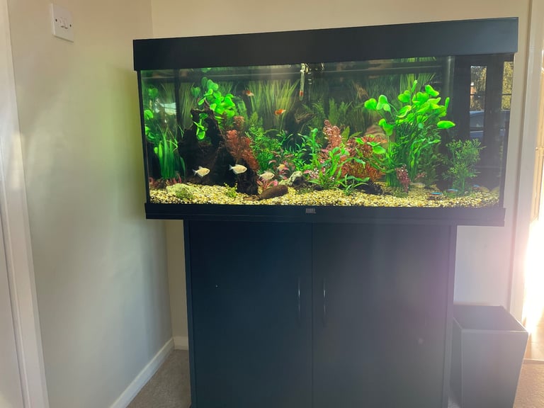 Jewel Rio 180 tank and cabinet and all accessories 
