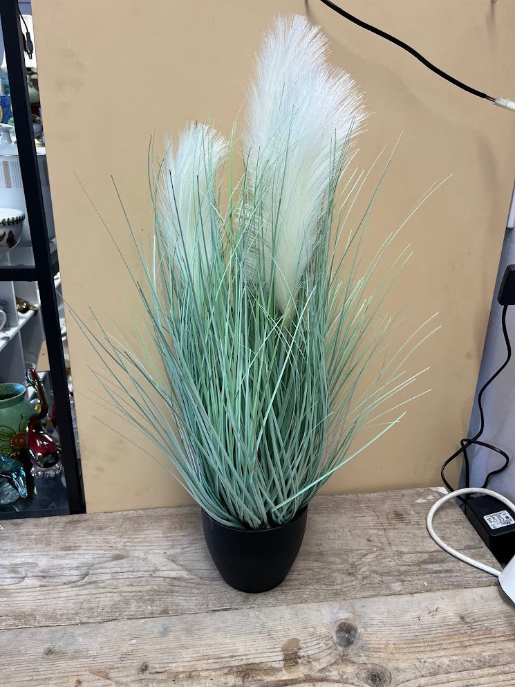 image for  Brand New Artificial Pampas Grass