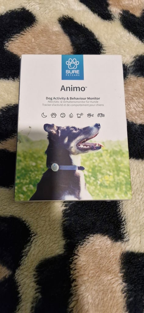 image for Dog activity tracker
