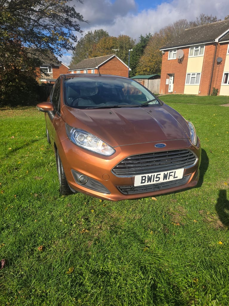 Ford fiesta (wet belt done)