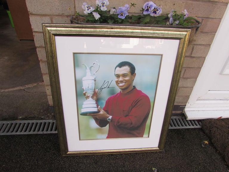 image for Tiger Woods Print
