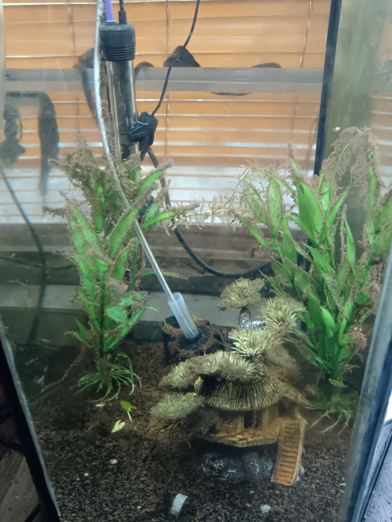Fish tank sold has seen will need clean 