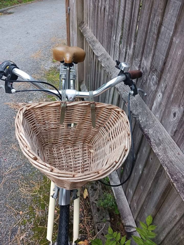 Ladies Town Bike