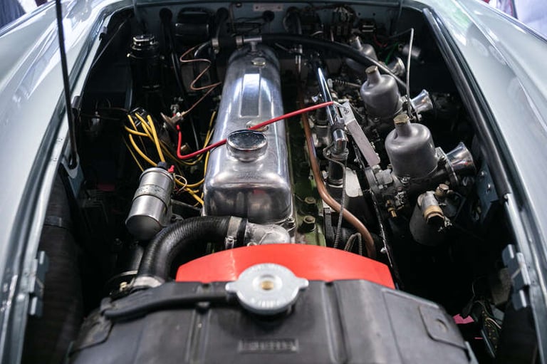 2021 Austin Healey PETROL Manual