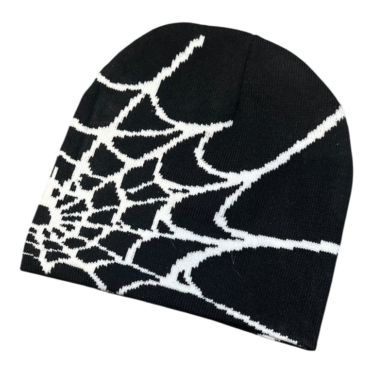 image for Spider beanie 