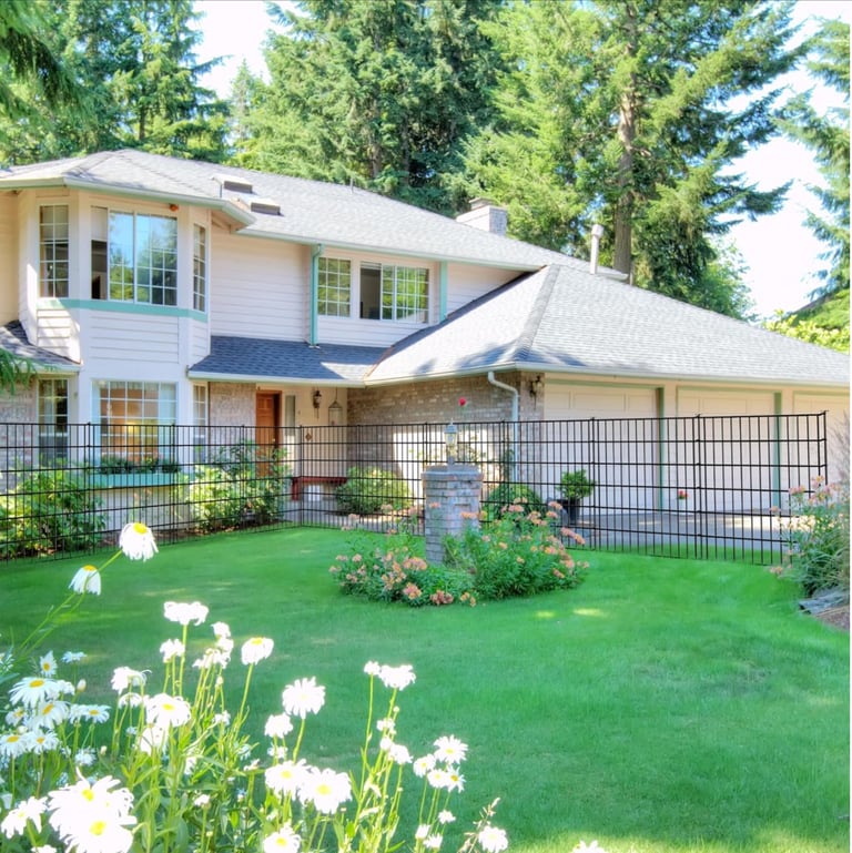 Heavy duty black metal fence with gates 