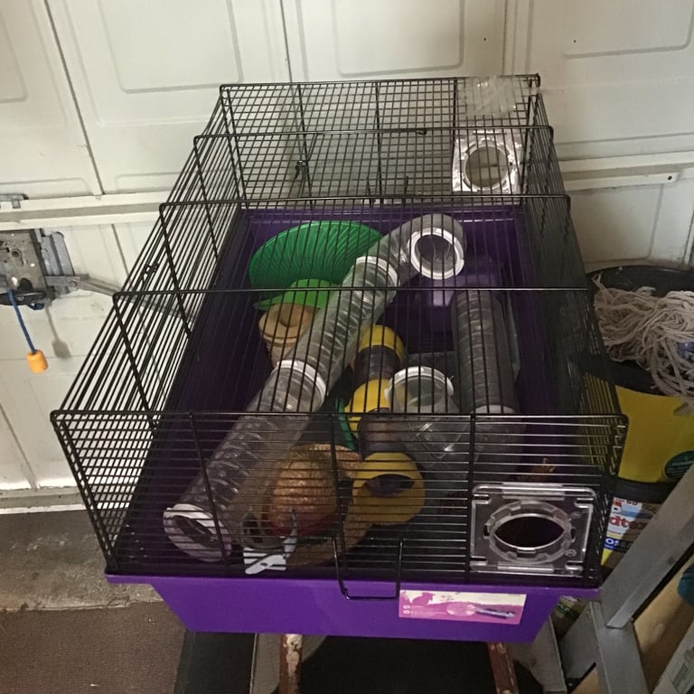 Hamster cage 