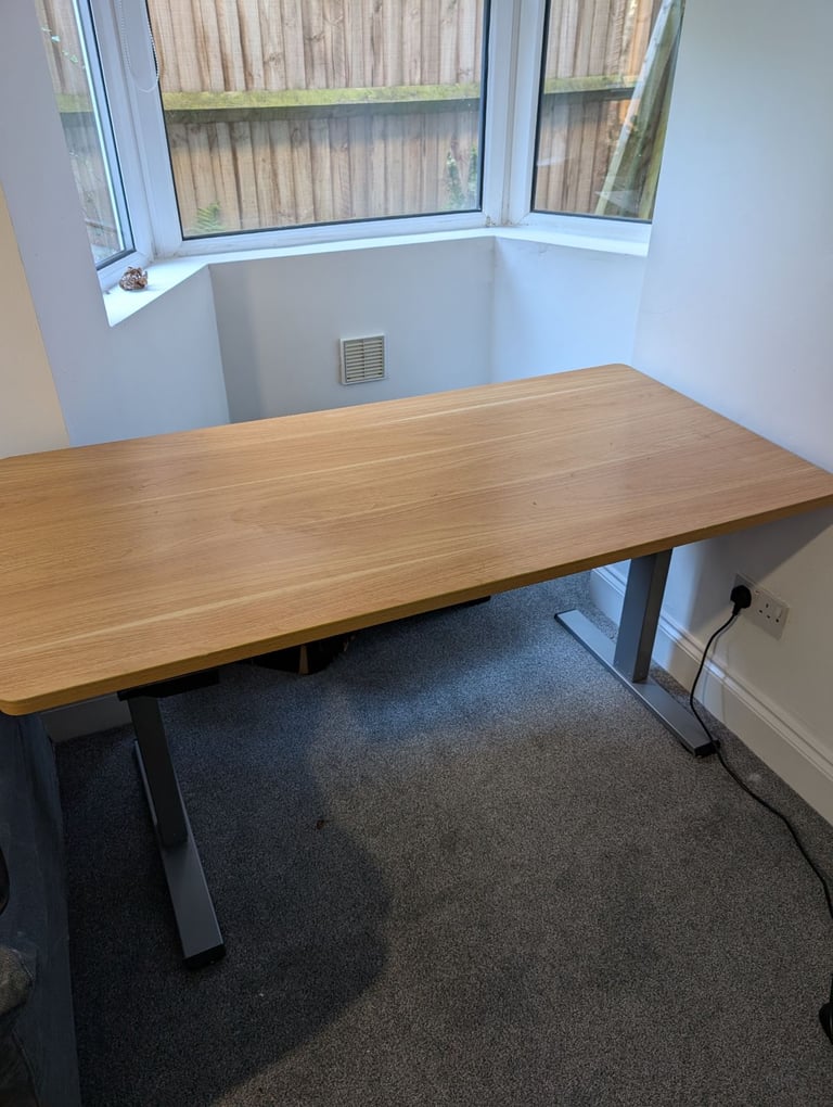 Flexispot desk and stand 