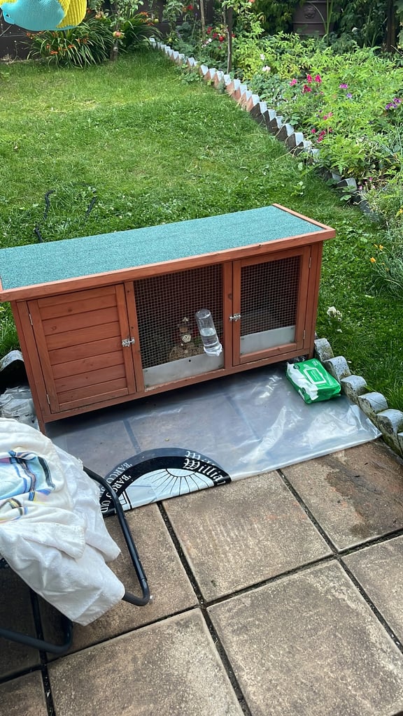 Rabbit Or guinea pig hutch