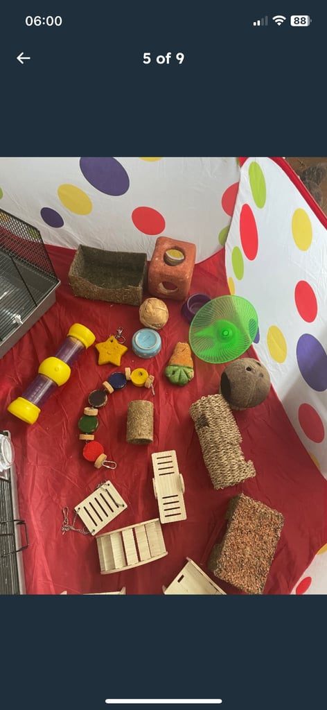 2 hamster cages ,equipment/ toys / treats / bedding etc