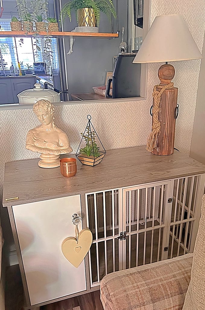 Dog house cabinet