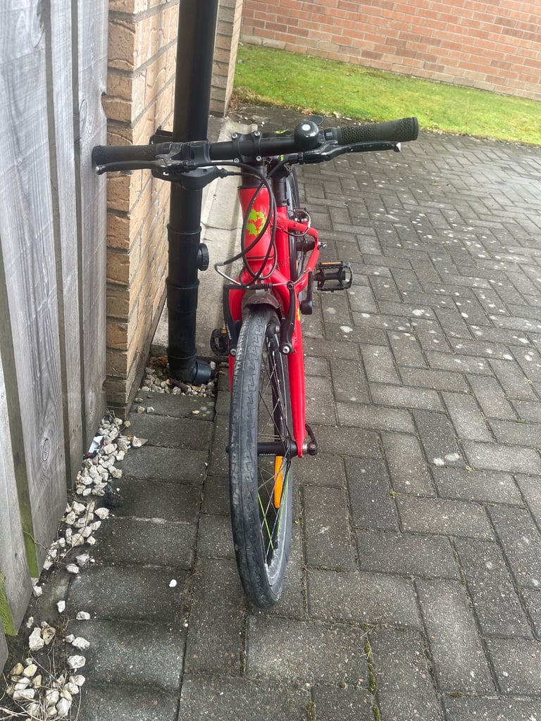 wheel gumtree frog 52