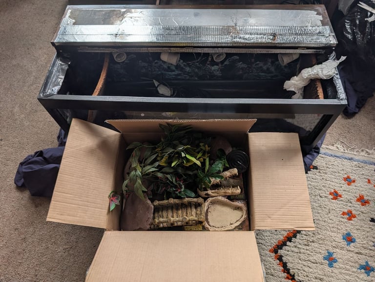 image for Free Large Terrarium Kit