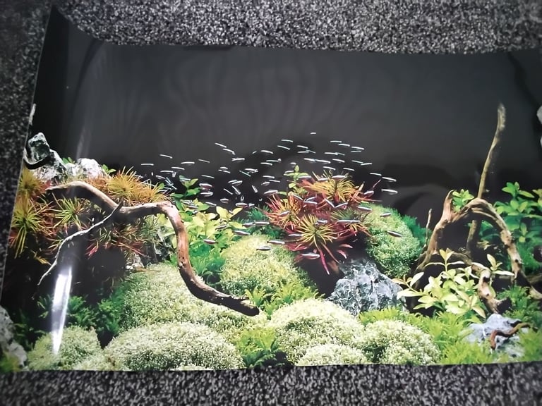 60L glass fish tank, with accessories. 