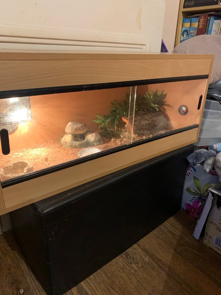 Reptile vivarium 